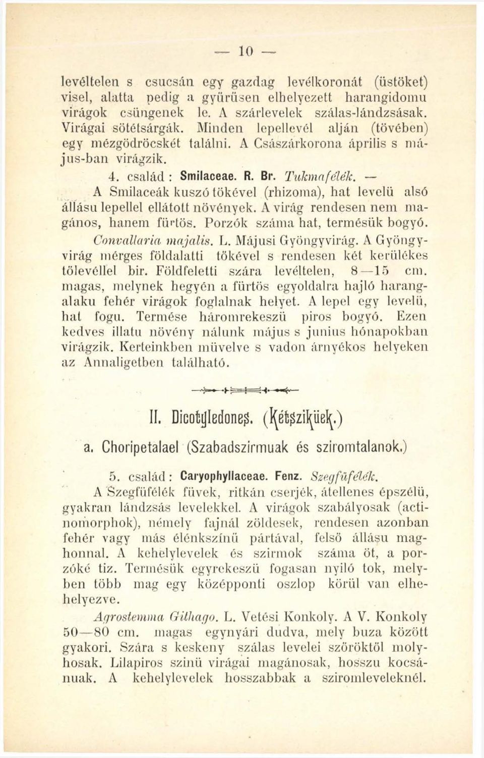 A Smilaceák kúszó tökével (rhizoma), hat levelű alsó állású lepellel ellátott növények. A virág rendesen nem magános, hanem fürtös. Porzók száma hat, termésük bogyó. Convallaria majális. L.