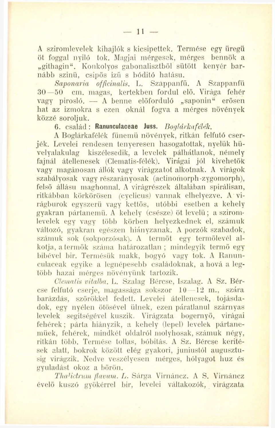 A benne előforduló saponin erősen hat az izmokra s ezen oknál fogva a mérges növények közzé soroljuk. 6. család : Ranunculaceae Juss. Boglárka félek.