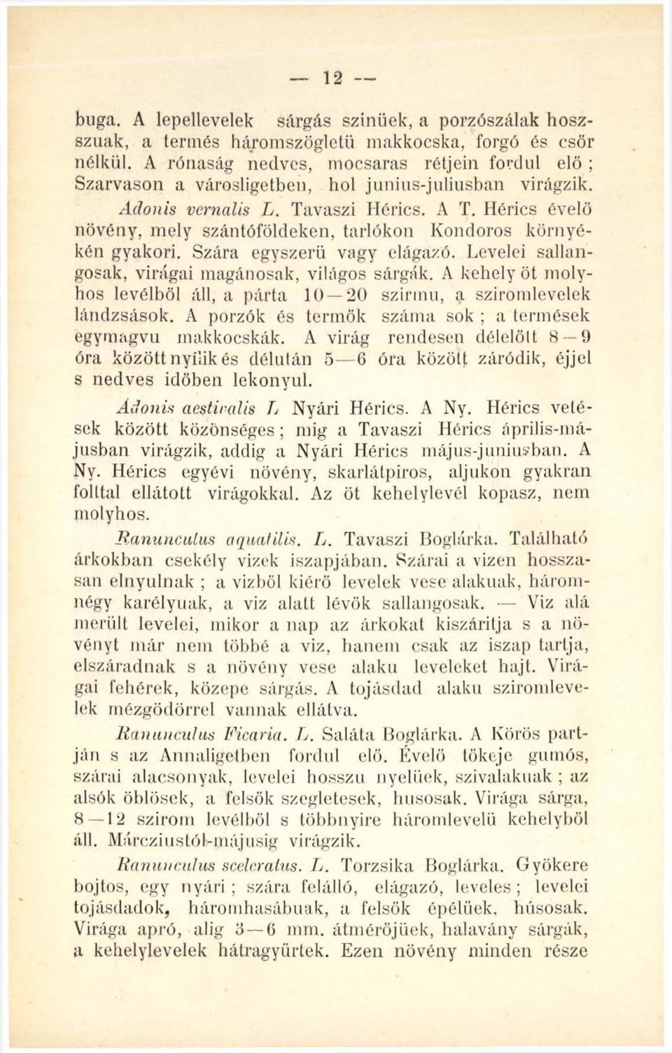 Hérics évelő növény, mely szántóföldeken, tarlókon Kondoros környékén gyakori. Szára egyszerű vagy elágazó. Levelei sallangosak, virágai magánosuk, világos sárgák.