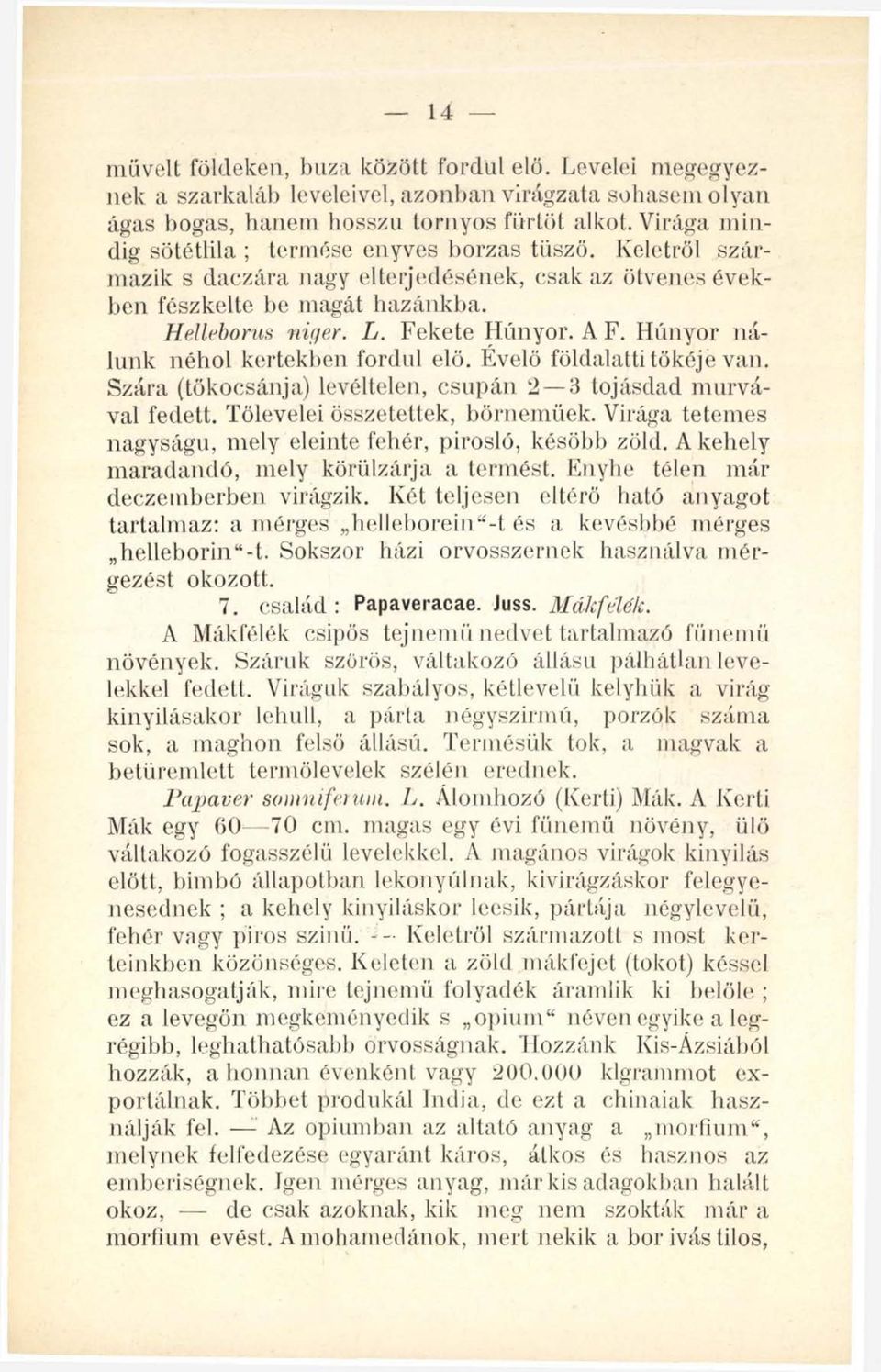 Húnyor nálunk néhol kertekben fordul elő. Évelő földalatti tőkéje van. Szára (tökocsánja) levéltelen, csupán 2 3 tojásdad murvával fedett. Tölevelei összetettek, börnemüek.