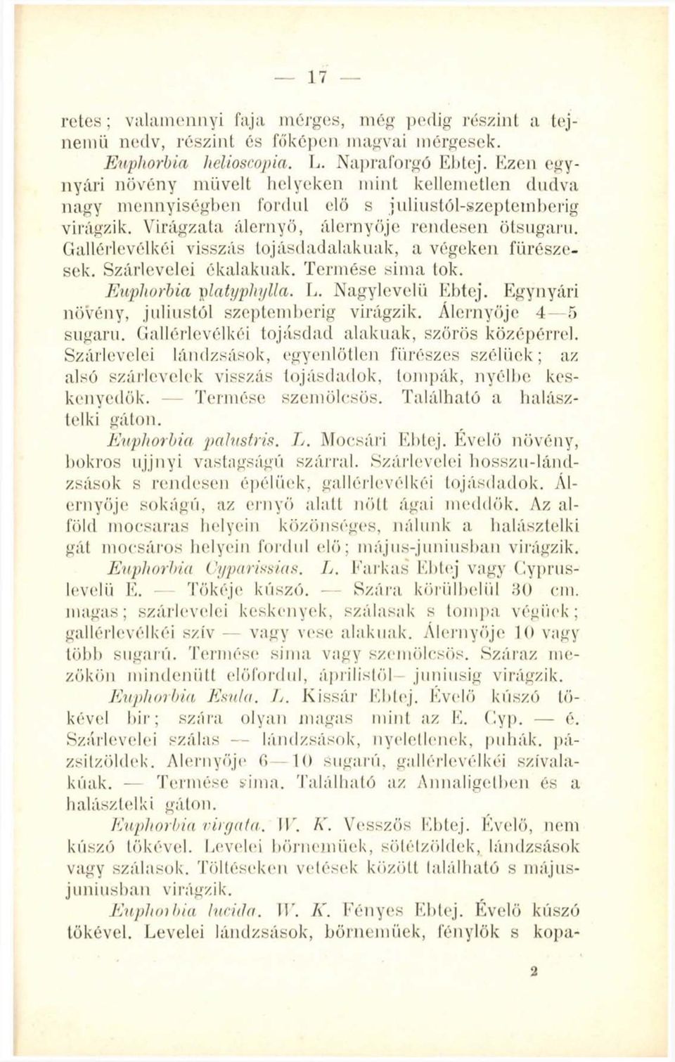 Gallérlevélkéi visszás tojásdadalakuak, a végeken fürészesek. Szárlevelei ékalakuak. Termése sima tok. Euphorbia platyphylla. L. Nagylevelii Ebtej. Egynyári növény, júliustól szeptemberig virágzik.