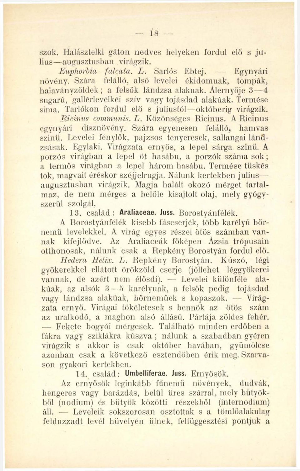 Tarlókon fordul elő s júliustól októberig virágzik. Ricinus communis. L. Közönséges Ricinus. A Ricinus egynyári dísznövény. Szára egyenesen felálló, hamvas szinü.