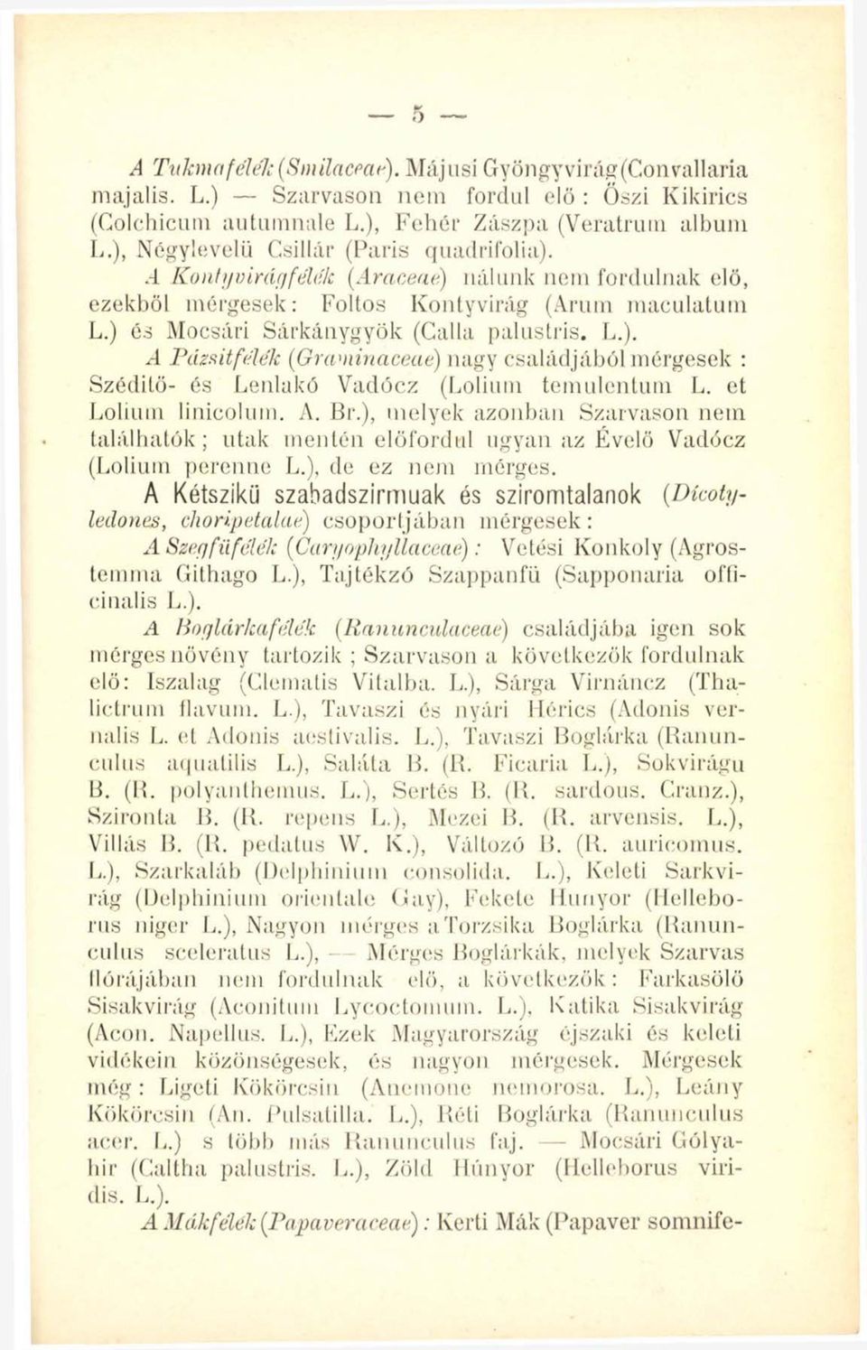 et Lolium linicolum. A. Br.), melyek azonban Szarvason nem találhatók; utak mentén előfordul ugyan az Évelő Vadócz (Lolium perenne L.), de ez nem mérges.