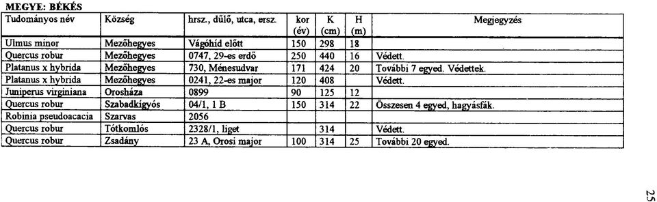 Platanus x hybrida Mezőhegyes 0241, 22-es major 120 408 Védett.