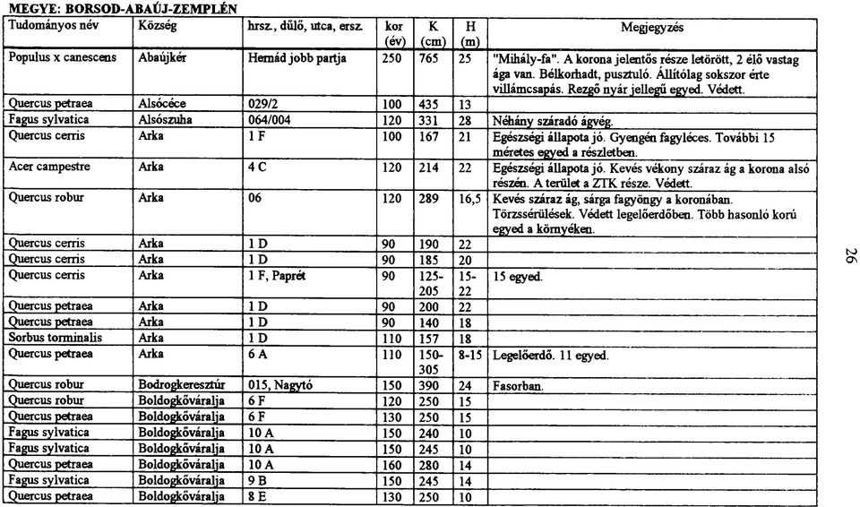 Quercus cerris Árka 1F 100 167 21 Egészségi állapota jó. Gyengén fagyléces. További 15 méretes egyed a részletben. Acer campestre Árka 4 C 120 214 22 Egészségi állapota jó.