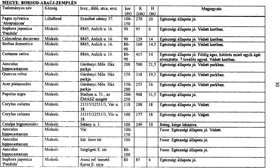 Védett kertben. 90 Castanea sativa Miskolc 8866, Aulich u 16. 80-90 415 14 Egészségi állapota jó. Földig ágas, hótörés miatt egyik ágát elvesztette. 7 további egyed. Védett kertben.