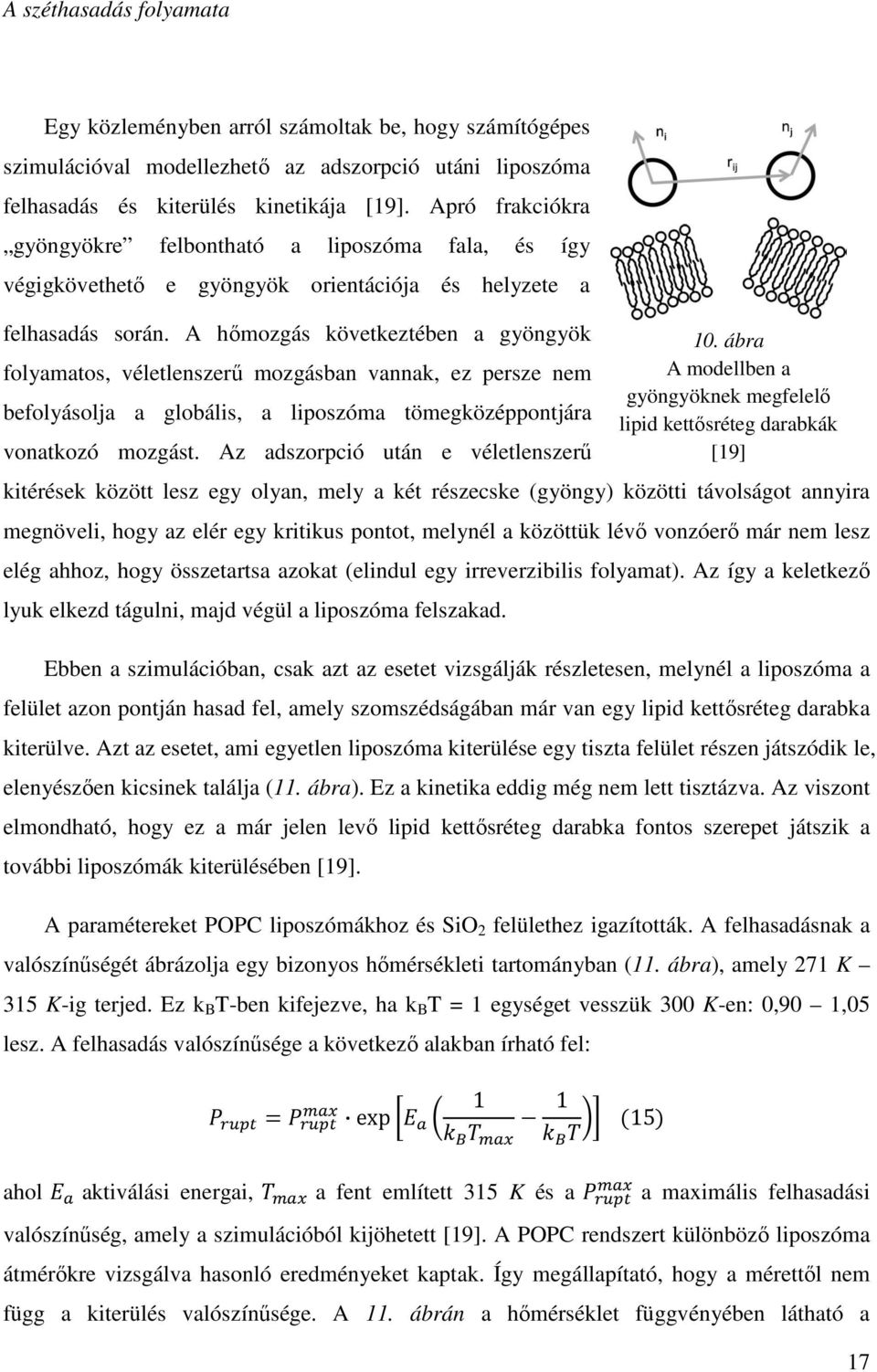 A hımozgás következtében a gyöngyök folyamatos, véletlenszerő mozgásban vannak, ez persze nem befolyásolja a globális, a liposzóma tömegközéppontjára vonatkozó mozgást.