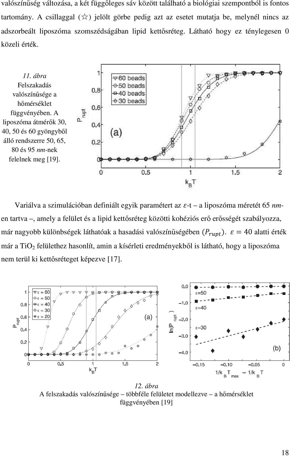 ábra Felszakadás valószínősége a hımérséklet függvényében. A liposzóma átmérık 30, 40, 50 és 60 gyöngybıl álló rendszerre 50, 65, 80 és 95 nm-nek felelnek meg [19].