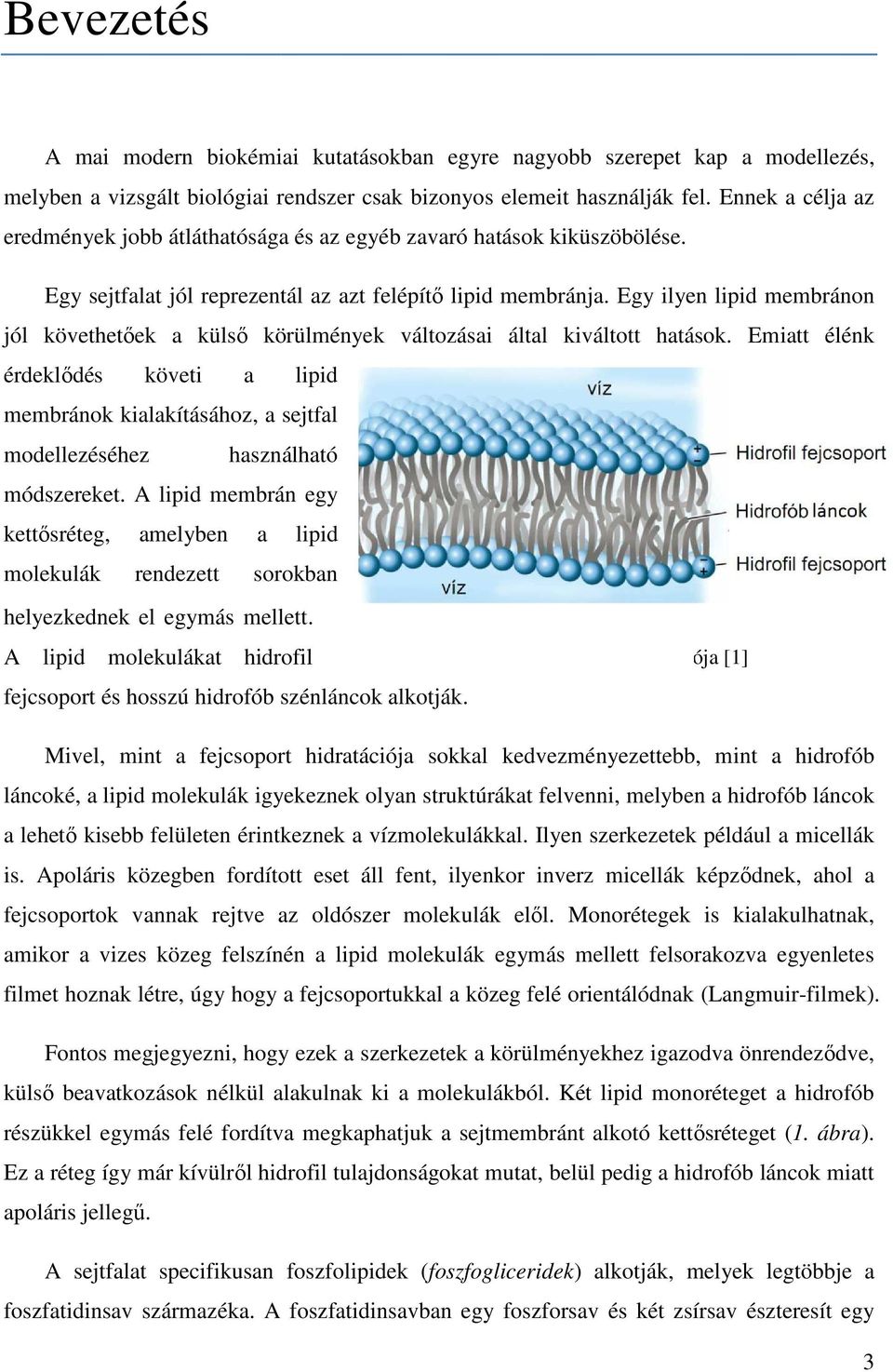 Egy ilyen lipid membránon jól követhetıek a külsı ı körülmények változásai által kiváltott hatások.