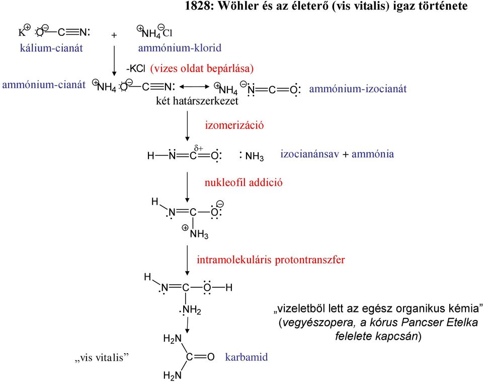 3 izocianánsav + ammónia nukleofil addició 3 intramolekuláris protontranszfer 2 2 vizeletből lett