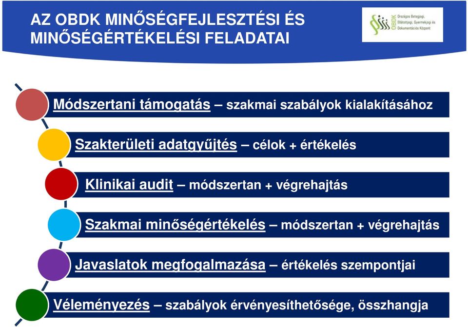 audit módszertan + végrehajtás Szakmai minőségértékelés módszertan + végrehajtás