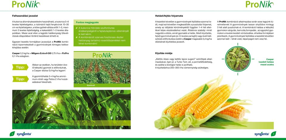 Egyszeri kezelés formájában javasoljuk a ProNik kombináció kipermetezését a gyomnövények tömeges kelésekihajtása esetén: Fontos megjegyzés A kukorica hibridek szulfonilurea érzékenységéről a