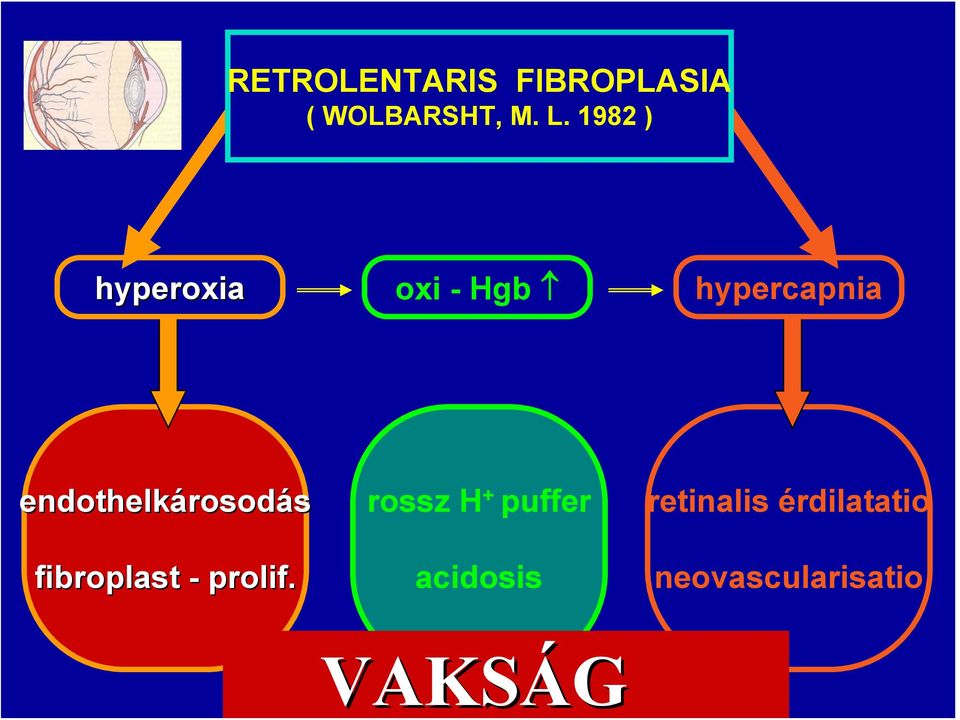 endothelkárosodás fibroplast - prolif.