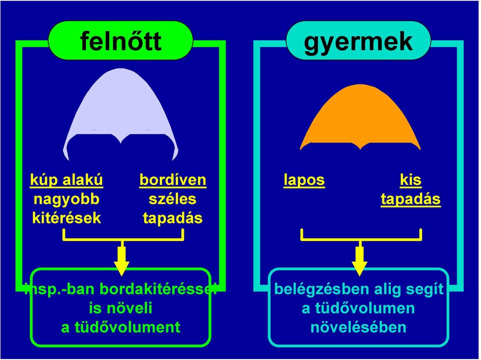 -ban bordakitéréssel is növeli a tüdővolument