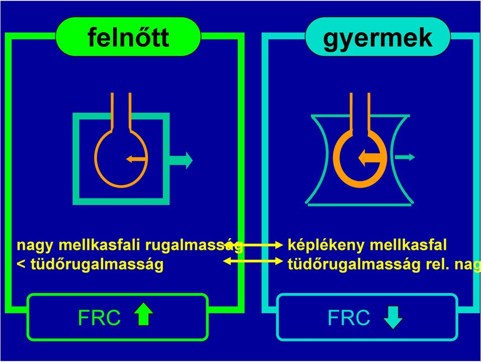 tüdőrugalmasság képlékeny