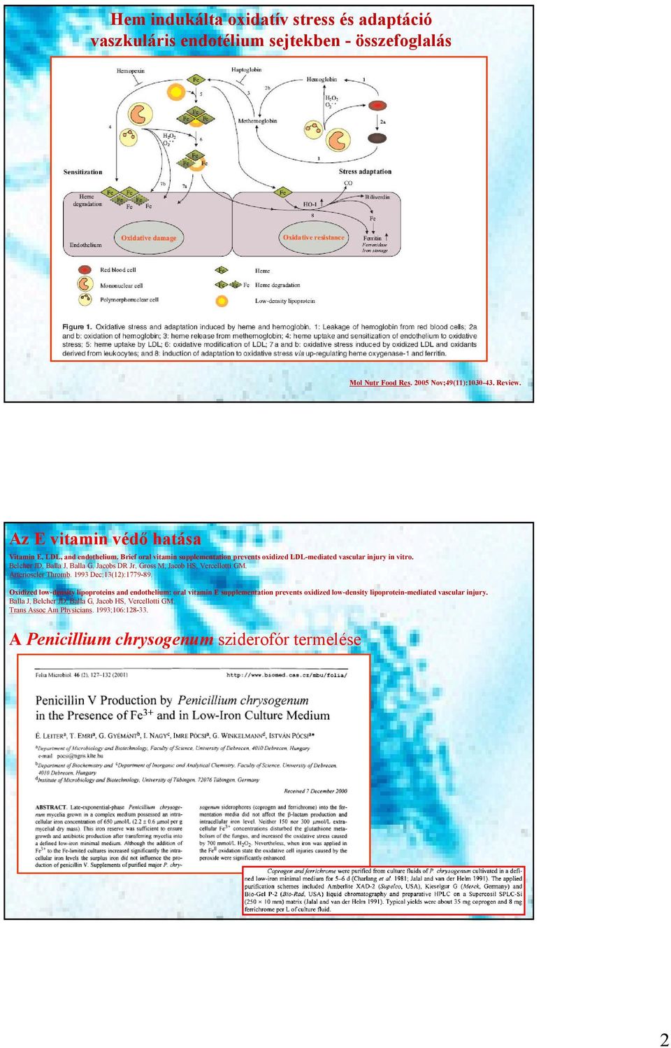 Belcher JD, Balla J, Balla G, Jacobs DR Jr, Gross M, Jacob S, Vercellotti GM. Arterioscler Thromb. 1993 Dec;13(12):1779-89.