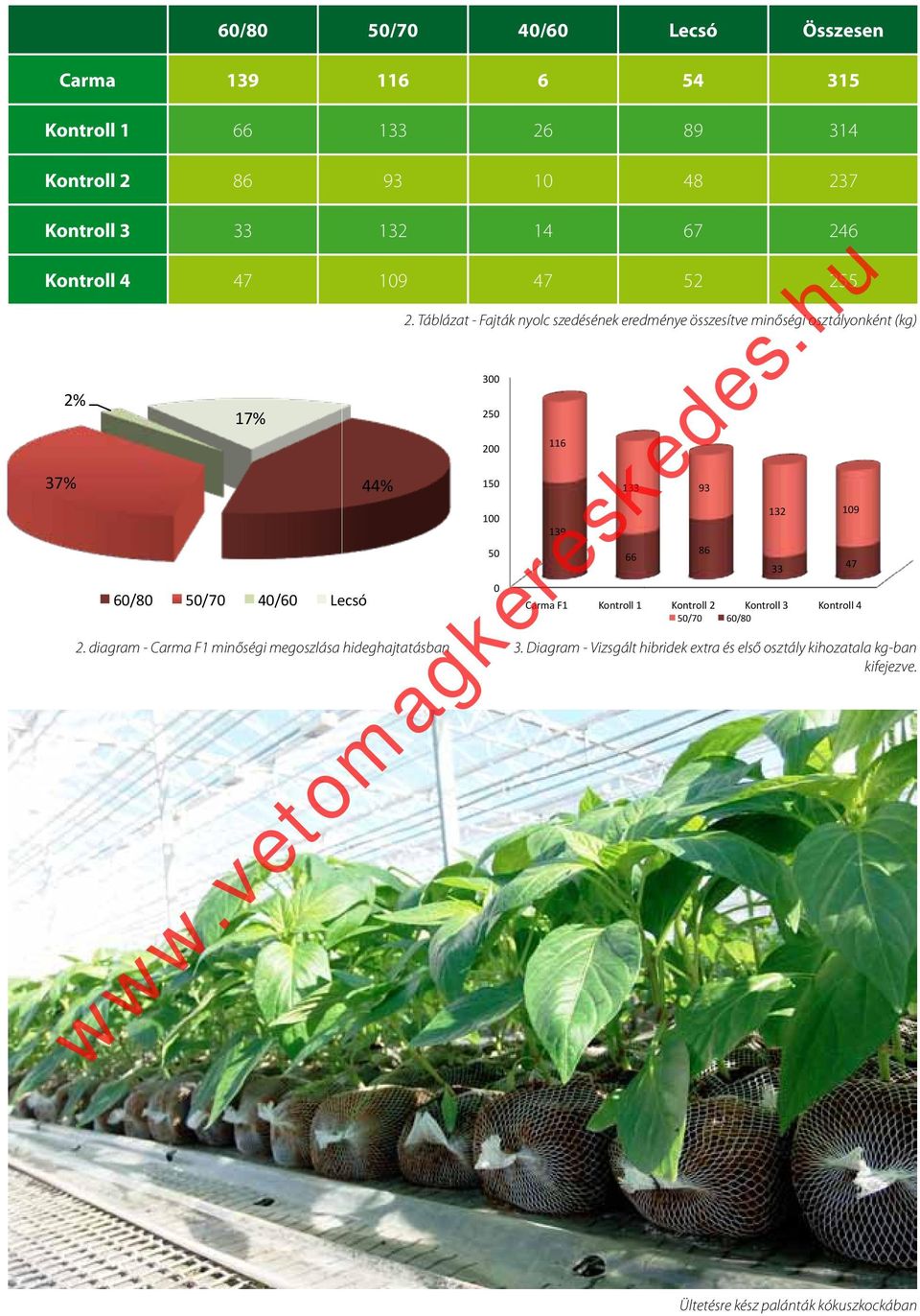 Táblázat - Fajták nyolc szedésének eredménye összesítve minőségi osztályonként (kg) 300 250 200 150 100 50 0 Carma F1 Kontroll 1 Kontroll 2 Kontroll