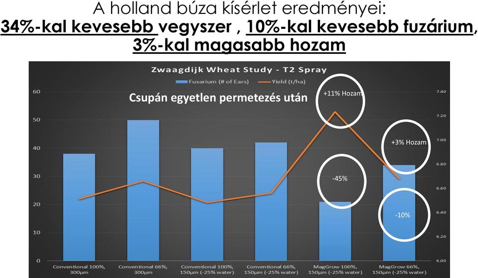 fuzárium, 3%-kal magasabb hozam Csupán