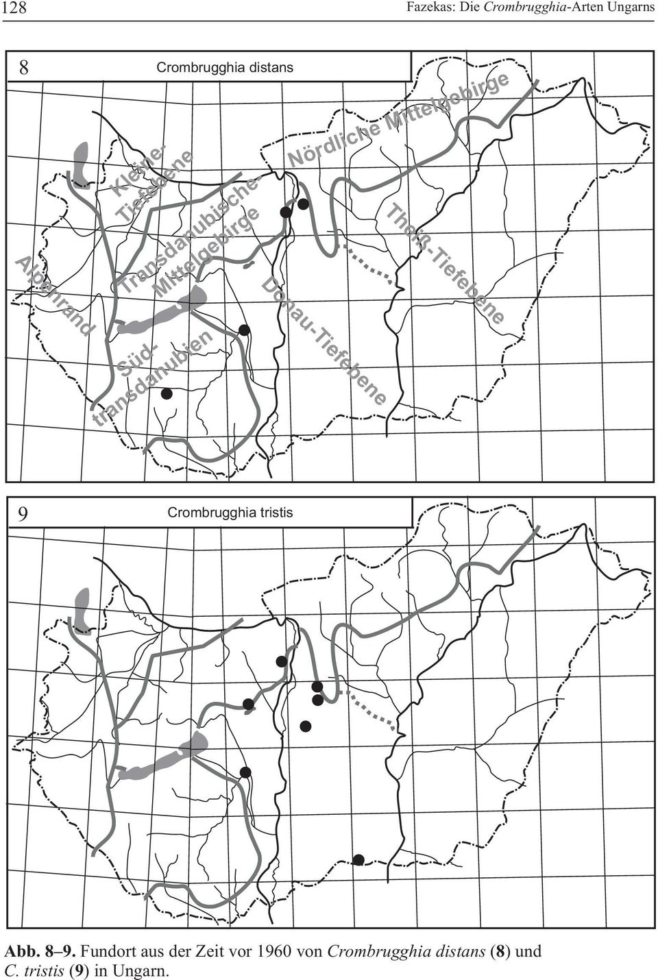 Mittelgebirge Donau-Tiefebene Theiß-Tiefebene 9 Crombrugghia tristis Abb. 8 9.