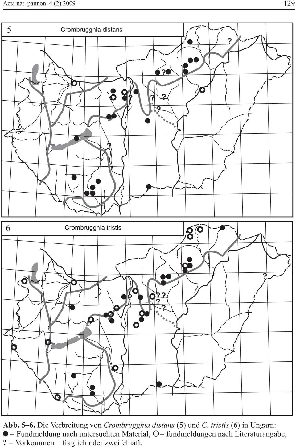 Die Verbreitung von Crombrugghia distans ( 5) und C.