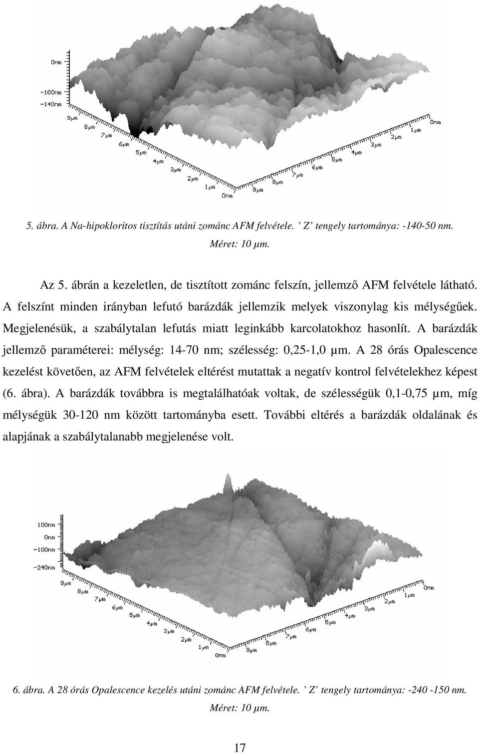 A barázdák jellemzı paraméterei: mélység: 14-70 nm; szélesség: 0,25-1,0 µm. A 28 órás Opalescence kezelést követıen, az AFM felvételek eltérést mutattak a negatív kontrol felvételekhez képest (6.