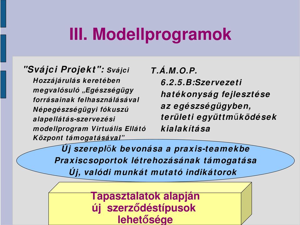 Népegészségügyi fókuszú alapellátás-szervezési modellprogram Virtuális Ellátó Központ támogatásával T.Á.M.O.P. 6.2.5.