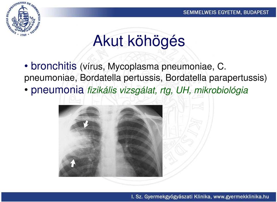 pneumoniae, Bordatella pertussis,