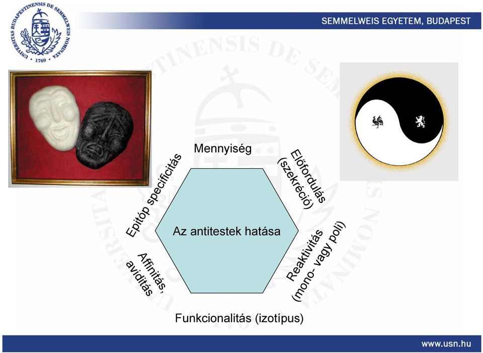 Reaktivitás (mono- vagy poli)