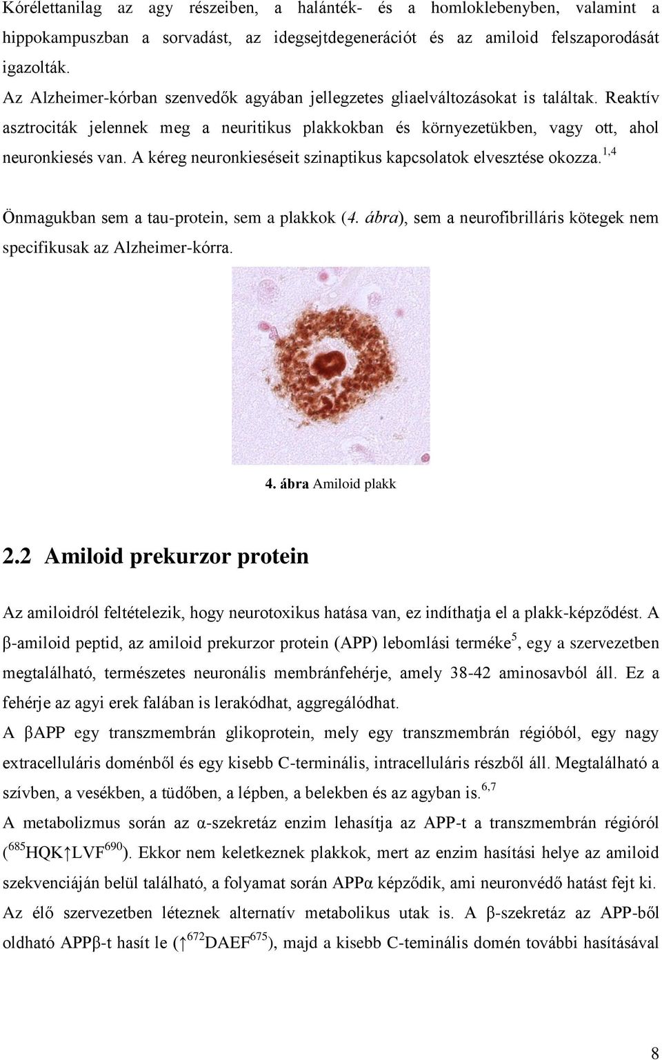 A kéreg neuronkieséseit szinaptikus kapcsolatok elvesztése okozza. 1,4 Önmagukban sem a tau-protein, sem a plakkok (4. ábra), sem a neurofibrilláris kötegek nem specifikusak az Alzheimer-kórra. 4.