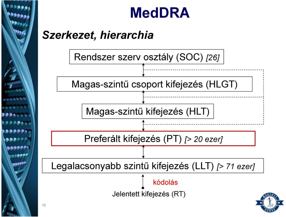 (HLT) Preferált kifejezés (PT) [> 20 ezer] 16 Legalacsonyabb