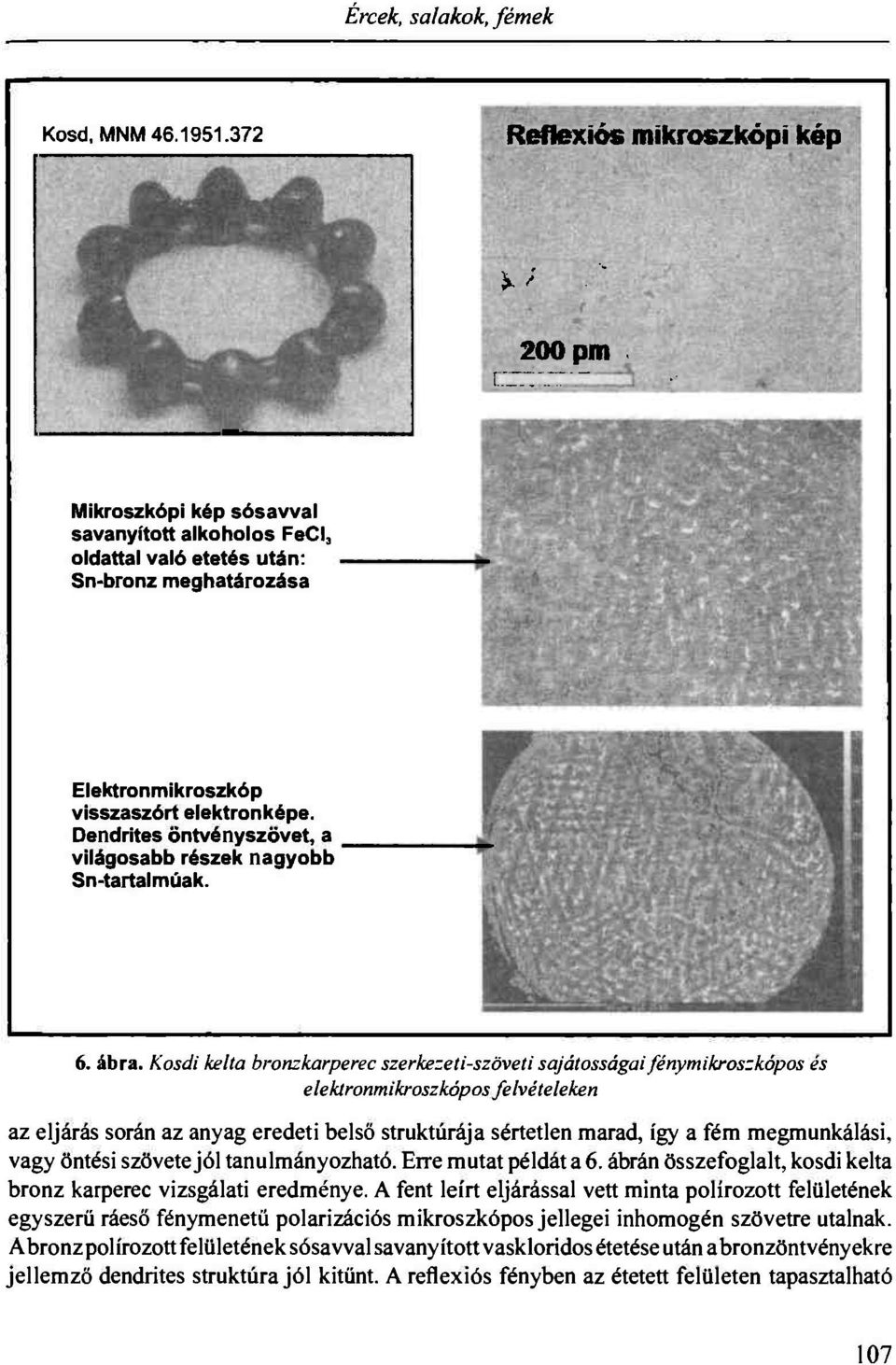 Dendrites öntvényszövet, a világosabb részek nagyobb Sn-tartalmúak. 6. ábra.