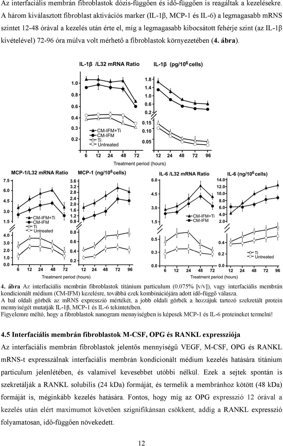 kivételével) 72-96 óra múlva volt mérhető a fibroblastok környezetében (4. ábra). 4. ábra Az interfaciális membrán fibroblastok titánium particulum (0.