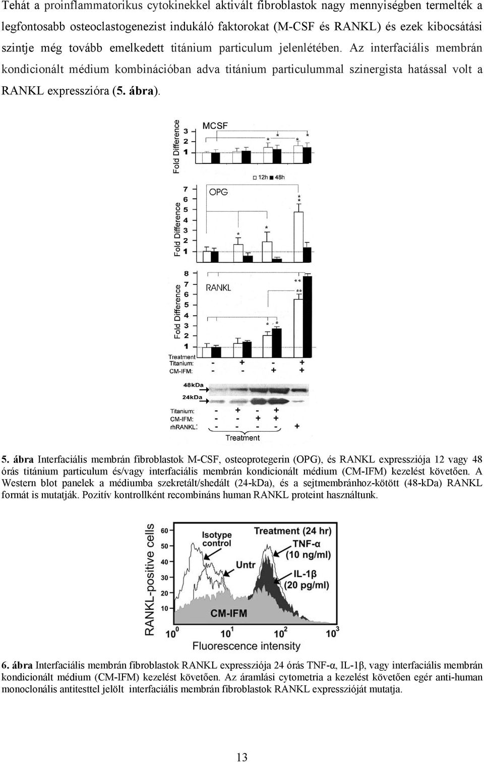 ábra Interfaciális membrán fibroblastok M-CSF, osteoprotegerin (OPG), és RANKL expressziója 12 vagy 48 órás titánium particulum és/vagy interfaciális membrán kondicionált médium (CM-IFM) kezelést