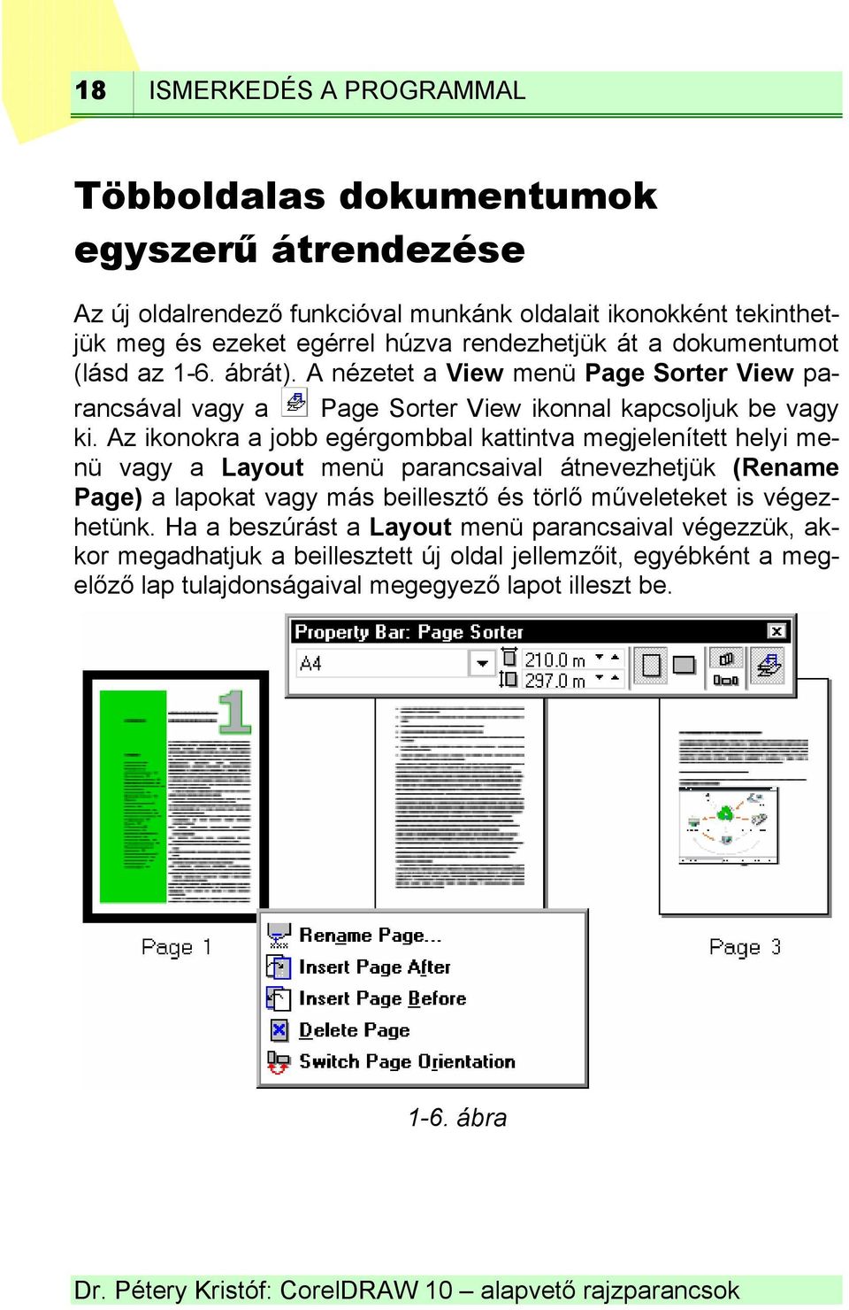 Az ikonokra a jobb egérgombbal kattintva megjelenített helyi menü vagy a Layout menü parancsaival átnevezhetjük (Rename Page) a lapokat vagy más beillesztő és törlő műveleteket