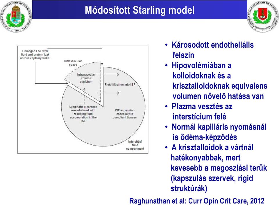 Normál kapilláris nyomásnál is ödéma-képződés A krisztalloidok a vártnál hatékonyabbak, mert