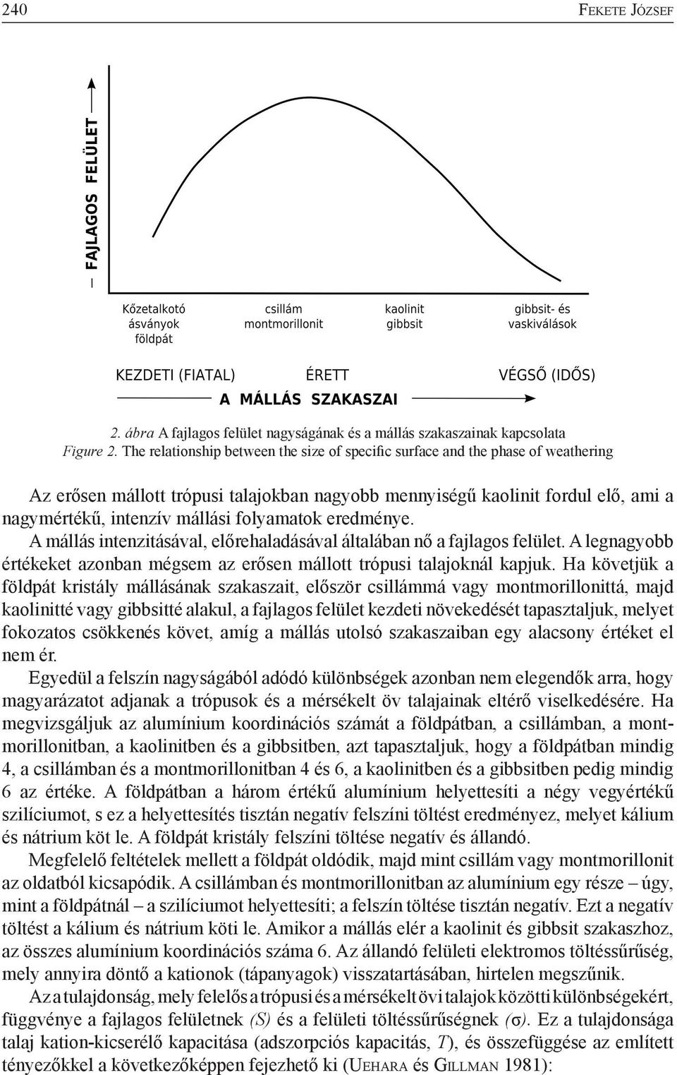 folyamatok eredménye. A mállás intenzitásával, előrehaladásával általában nő a fajlagos felület. A legnagyobb értékeket azonban mégsem az erősen mállott trópusi talajoknál kapjuk.