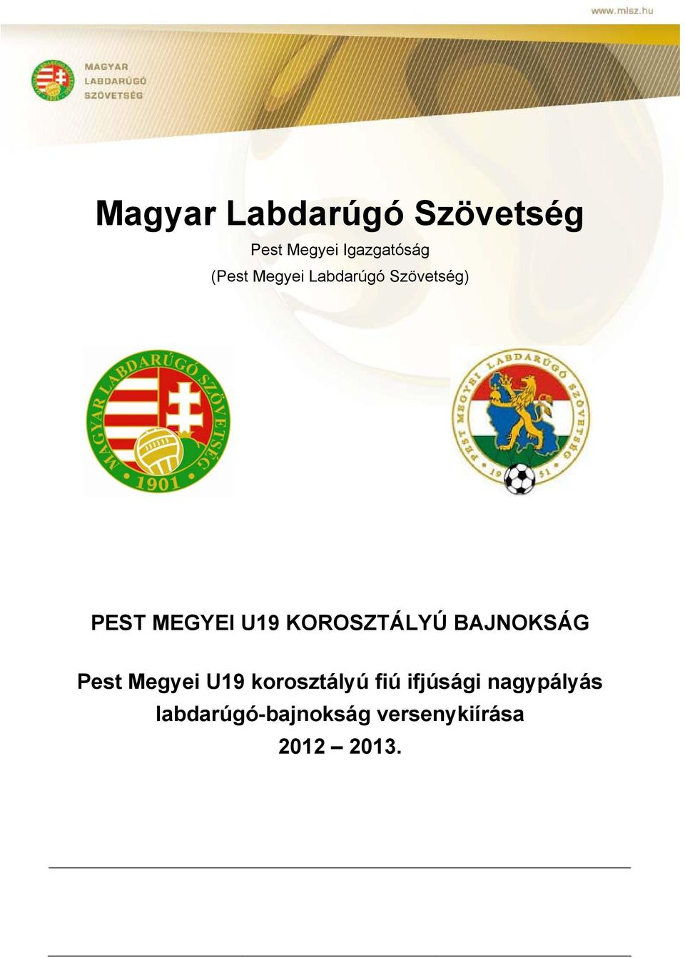 KOROSZTÁLYÚ BAJNOKSÁG Pest Megyei U19 korosztályú