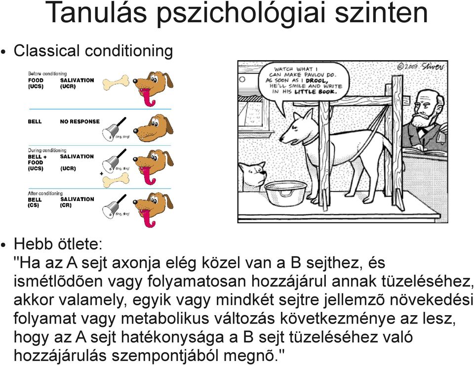 valamely, egyik vagy mindkét sejtre jellemzõ növekedési folyamat vagy metabolikus változás