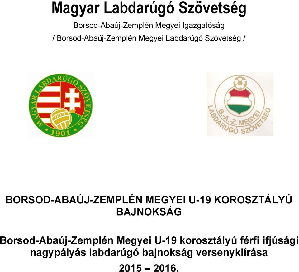 MEGYEI U-19 KOROSZTÁLYÚ BAJNOKSÁG korosztályú férfi