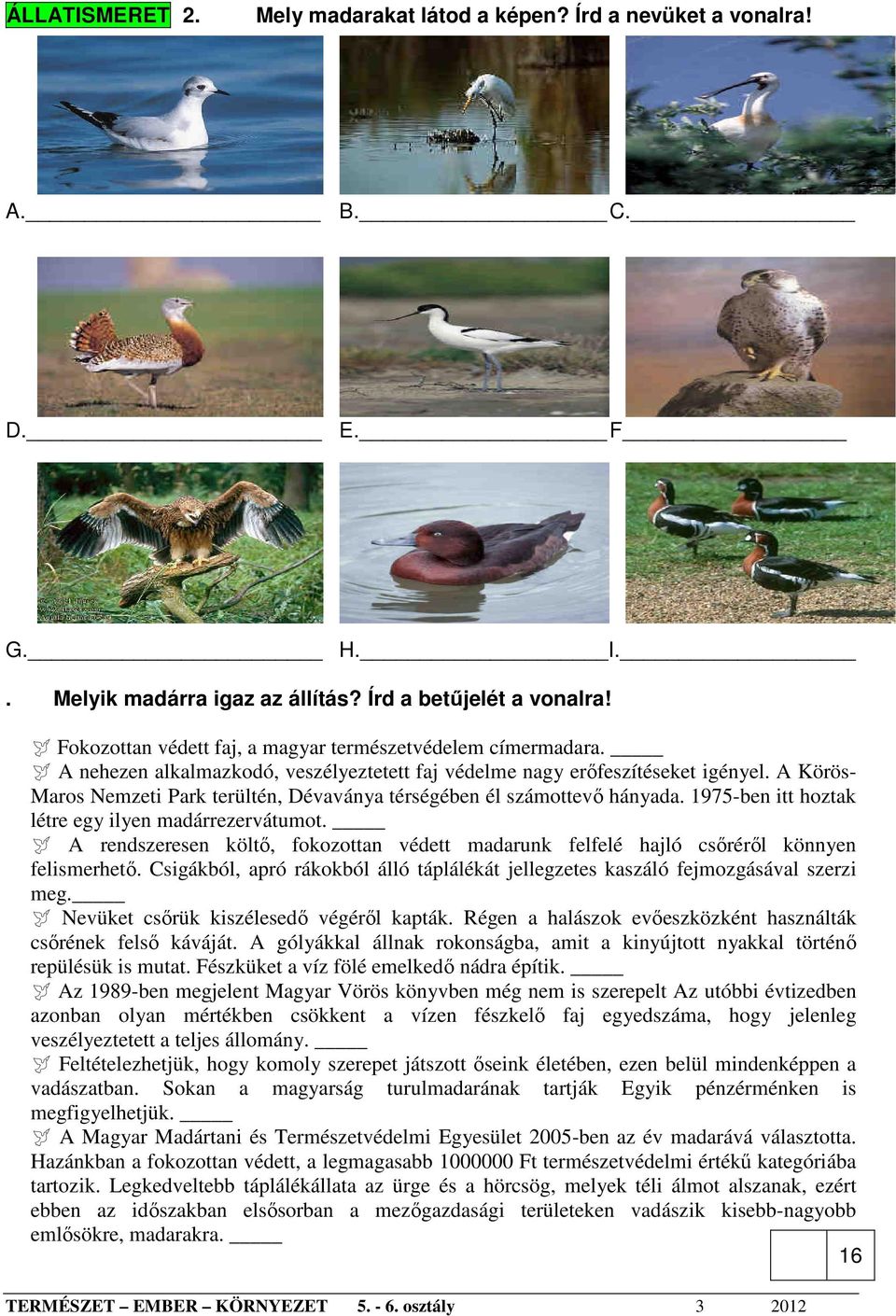 A Körös- Maros Nemzeti Park terültén, Dévaványa térségében él számottevı hányada. 1975-ben itt hoztak létre egy ilyen madárrezervátumot.