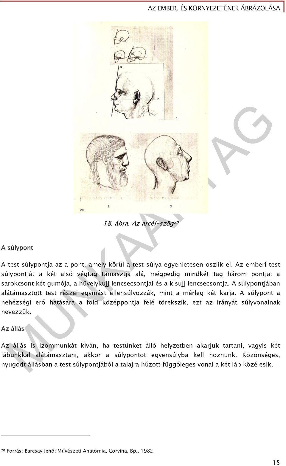 A súlypontjában alátámasztott test részei egymást ellensúlyozzák, mint a mérleg két karja. A súlypont a nehézségi erő hatására a föld középpontja felé törekszik, ezt az irányát súlyvonalnak nevezzük.