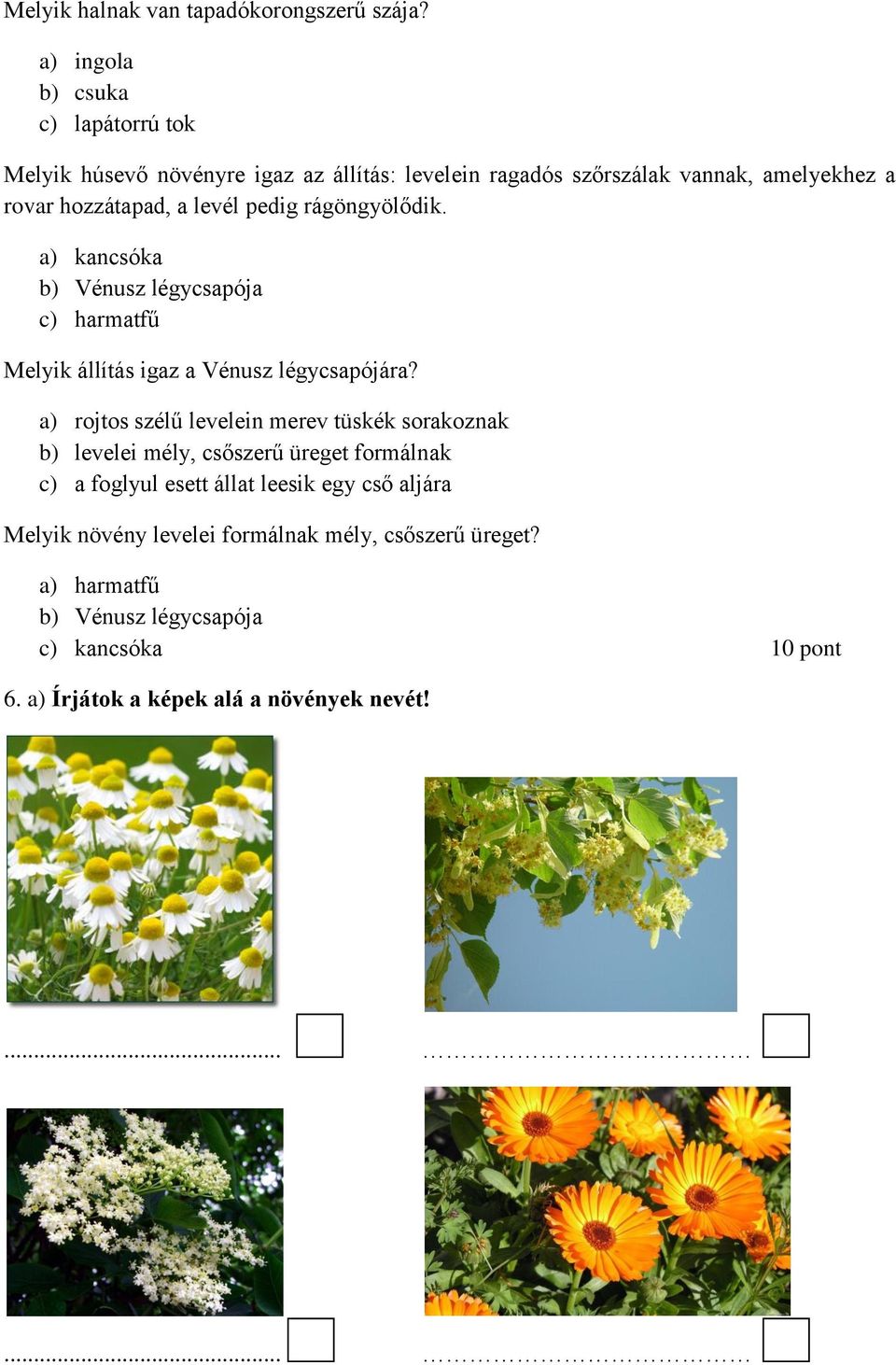 pedig rágöngyölődik. a) kancsóka b) Vénusz légycsapója c) harmatfű Melyik állítás igaz a Vénusz légycsapójára?