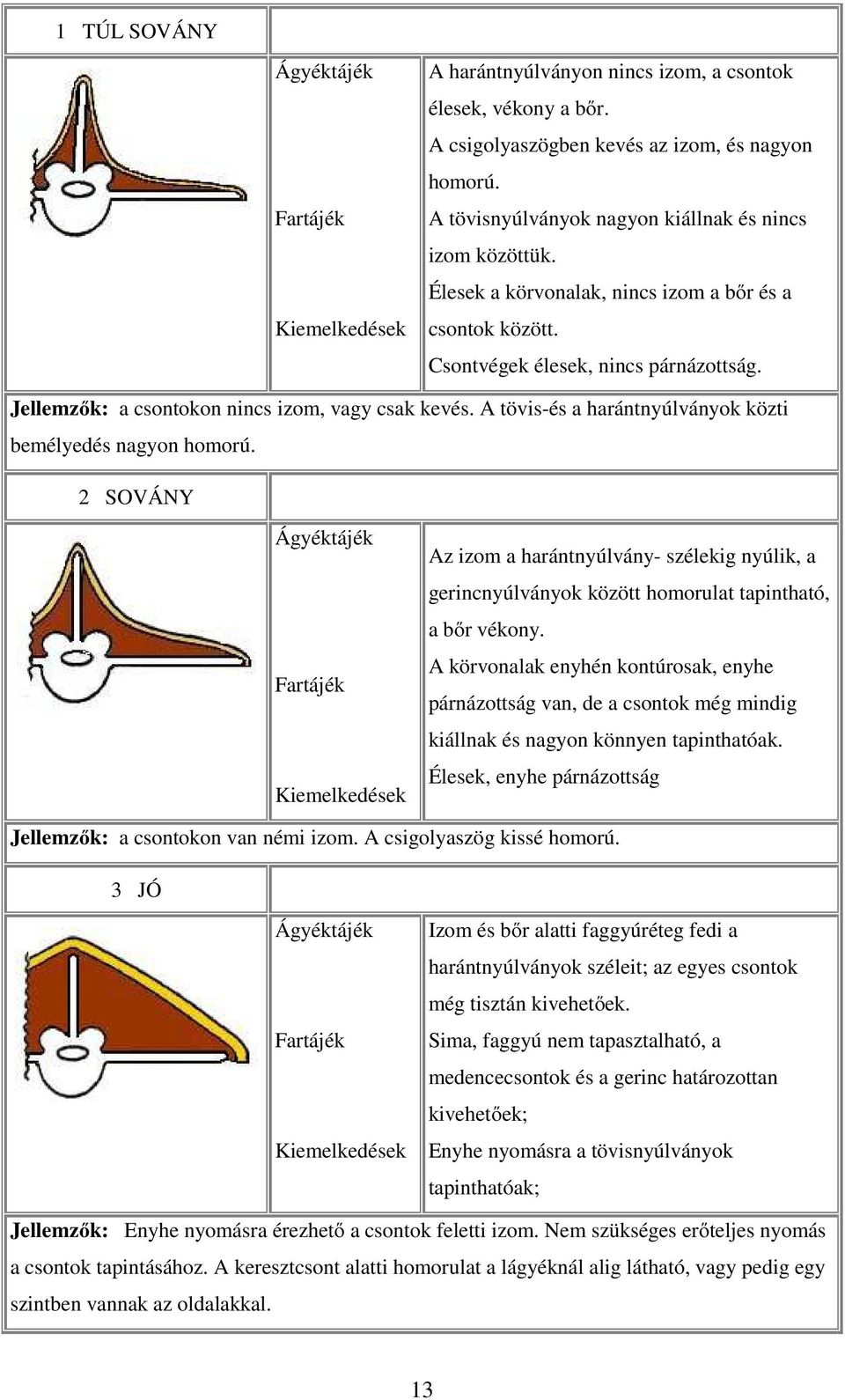 Jellemzők: a csontokon nincs izom, vagy csak kevés. A tövis-és a harántnyúlványok közti bemélyedés nagyon homorú.