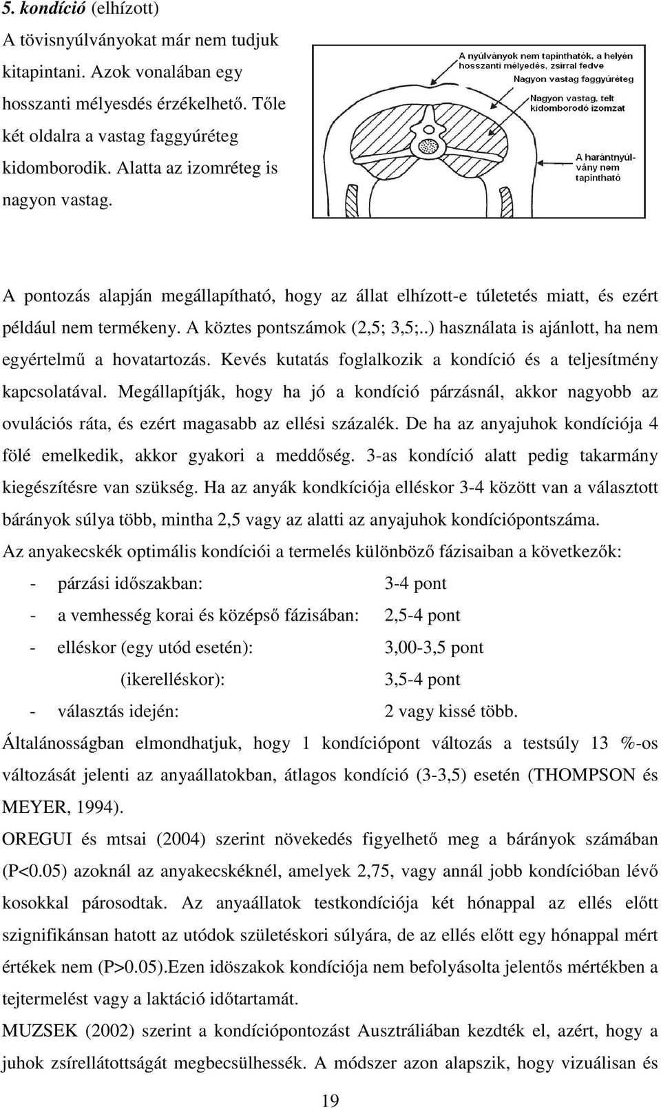 .) használata is ajánlott, ha nem egyértelmű a hovatartozás. Kevés kutatás foglalkozik a kondíció és a teljesítmény kapcsolatával.