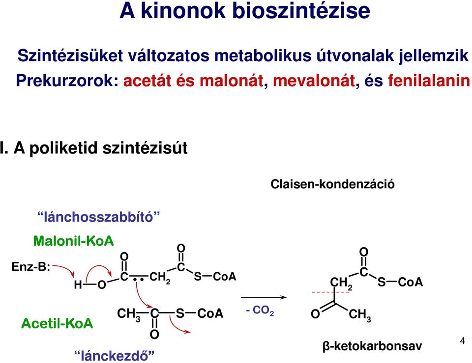 A poliketid szintézisút lánchosszabbító Claisen-kondenzáció Malonil-KoA oa