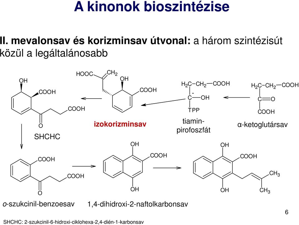 2 H CH H 2 C CH 2 CH C - H H 2 C CH 2 CH C SHCHC CH izokorizminsav H TPP tiaminpirofoszfát