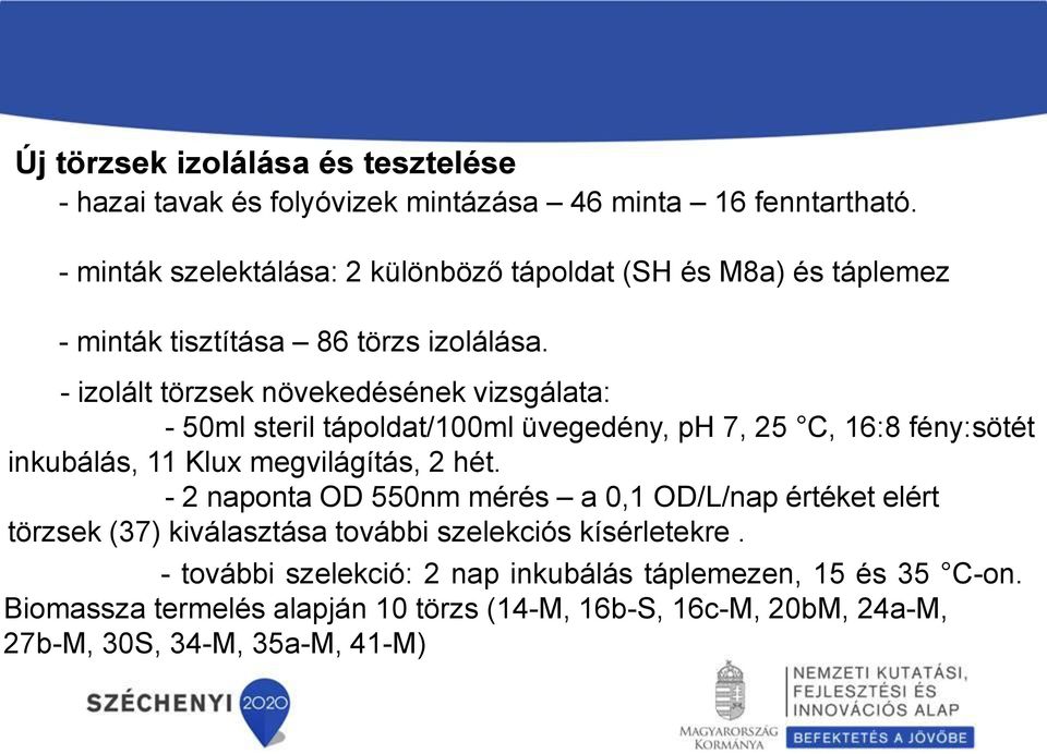 - izolált törzsek növekedésének vizsgálata: - 50ml steril tápoldat/100ml üvegedény, ph 7, 25 C, 16:8 fény:sötét inkubálás, 11 Klux megvilágítás, 2 hét.