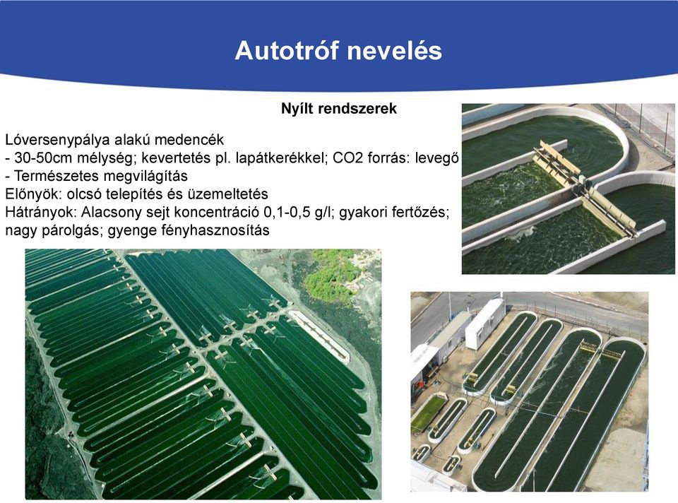 lapátkerékkel; CO2 forrás: levegő - Természetes megvilágítás Előnyök: olcsó