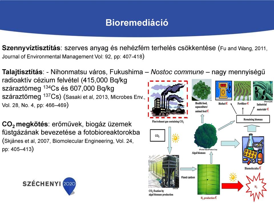 Bq/kg száraztömeg 134 Cs és 607,000 Bq/kg száraztömeg 137 Cs) (Sasaki et al, 2013, Microbes Env., Vol. 28, No.