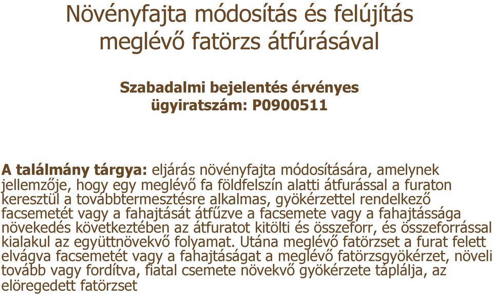 átfűzve a facsemete vagy a fahajtássága növekedés következtében az átfuratot kitölti és összeforr, és összeforrással kialakul az együttnövekvő folyamat.